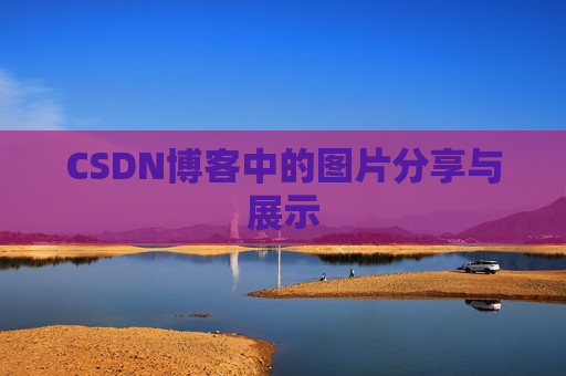 CSDN博客中的图片分享与展示